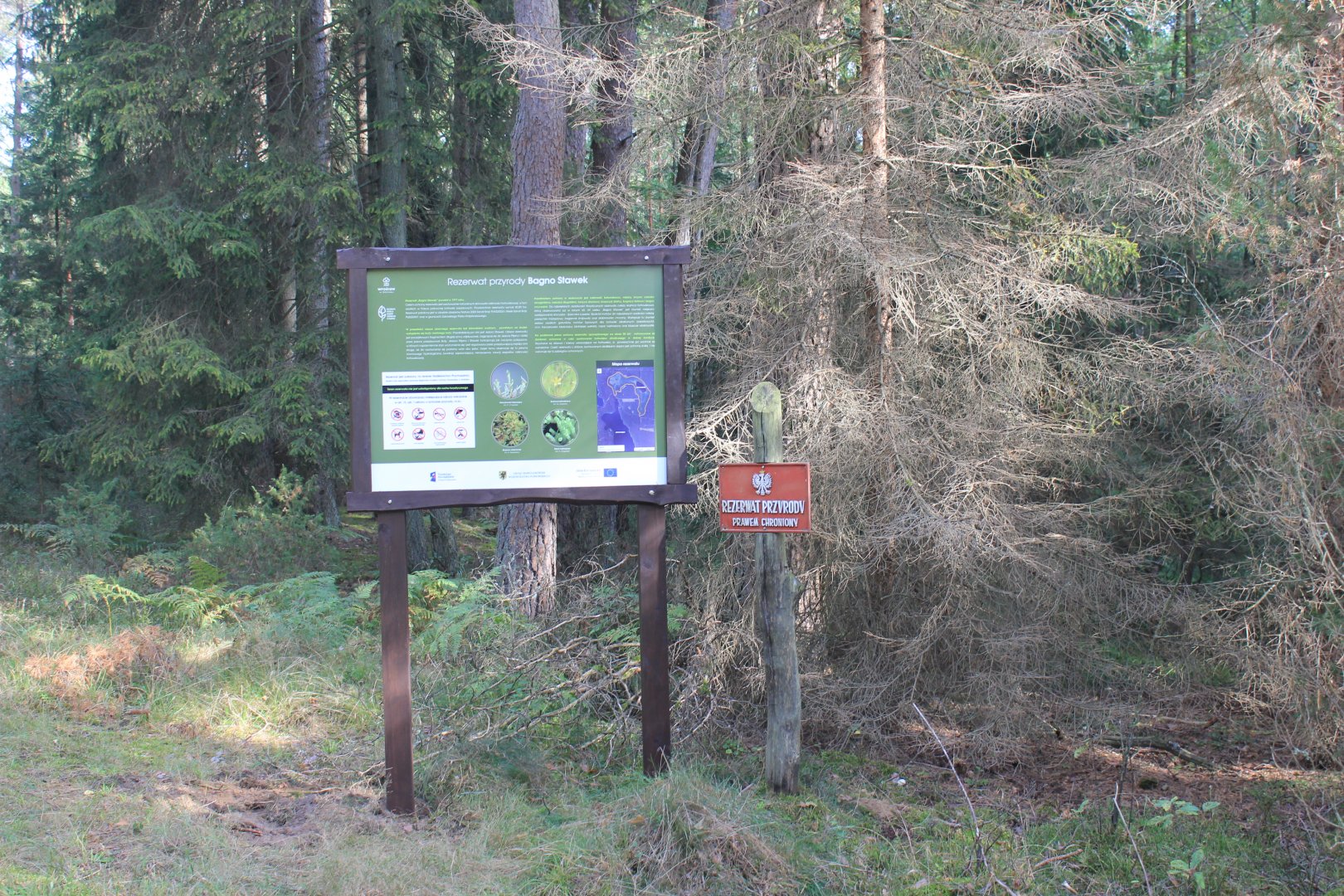 Rezerwat przyrody Bagno Stawek; na zdjęciu widać jedną czerwoną tablicę z napisem „Rezerwat przyrody prawem chroniony” oraz drugą edukacyjną z napisem „Rezerwat przyrody Bagno Stawek”