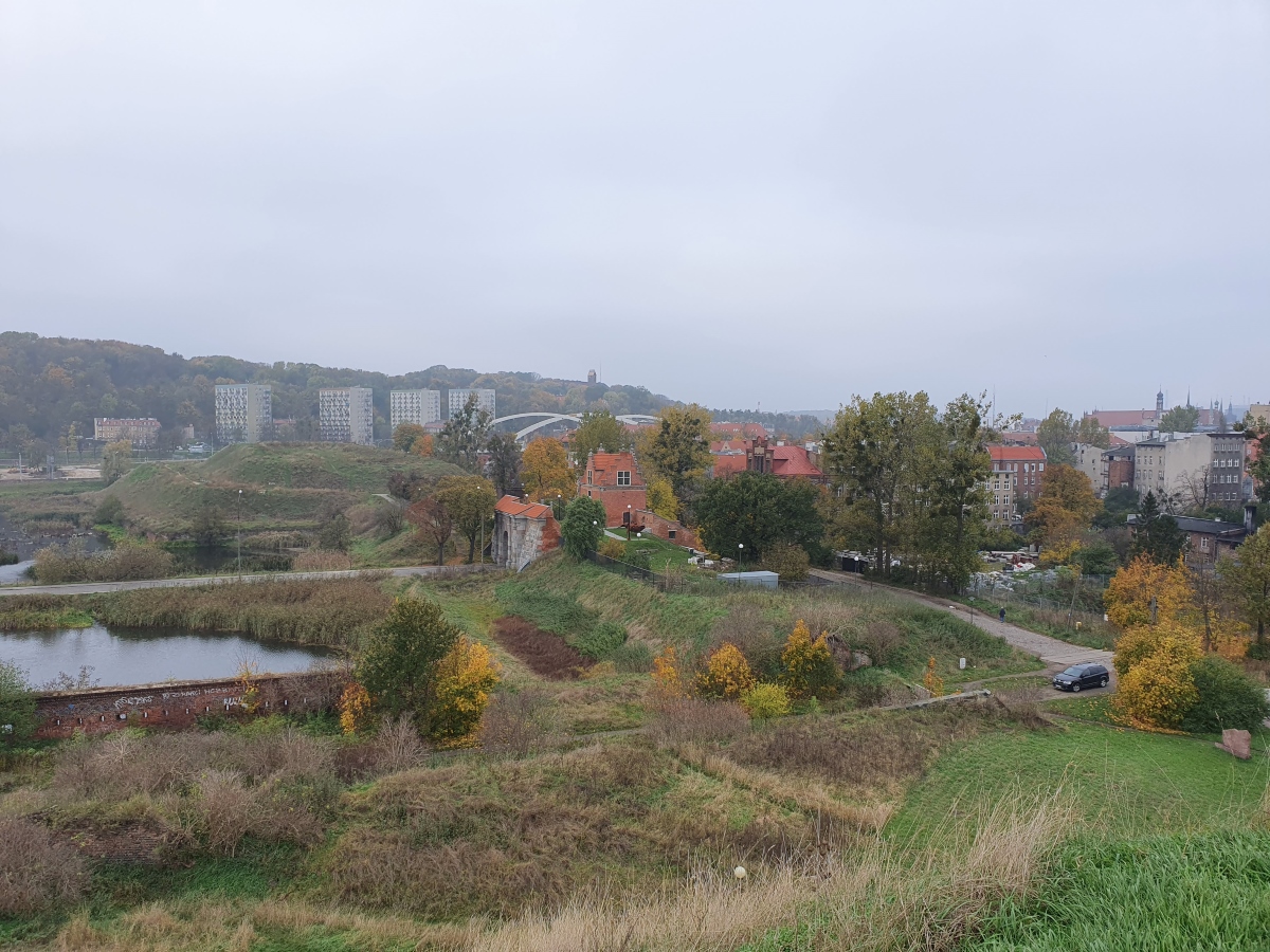 Na pierwszym planie nieużytki, dalej wysokie drzewa rosnące przy ulicy. Na drugim planie wysokie budynki mieszkalne i pagórek porośnięty lasem.