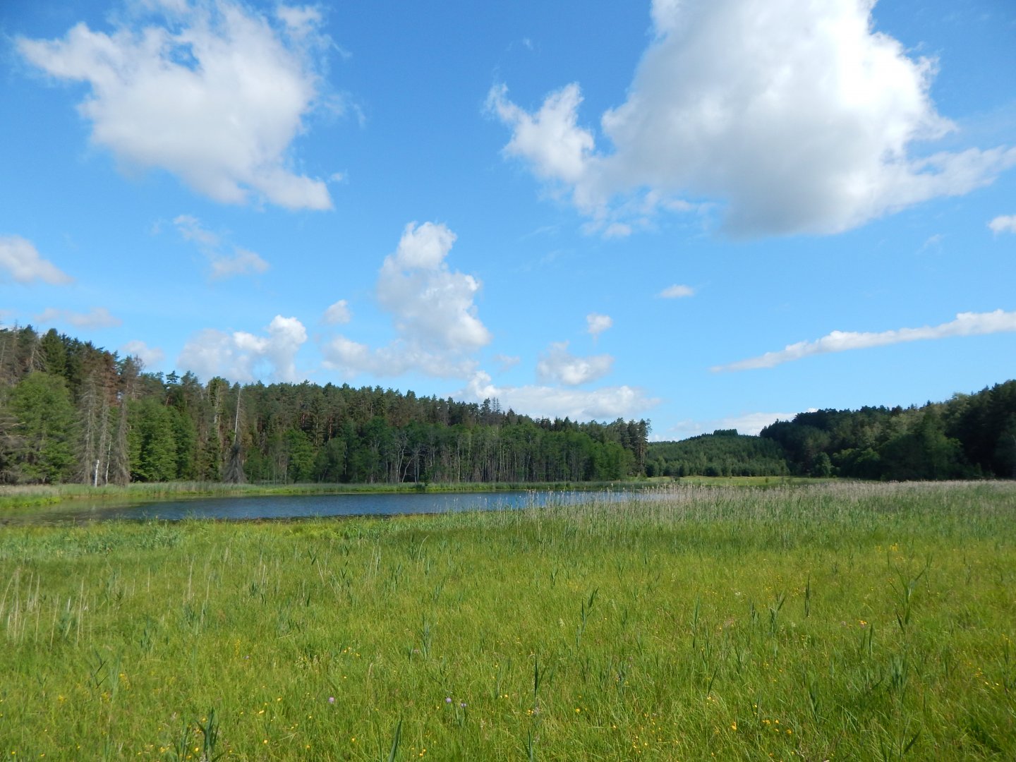 Rezerwat przyrody Dolina Kulawy
