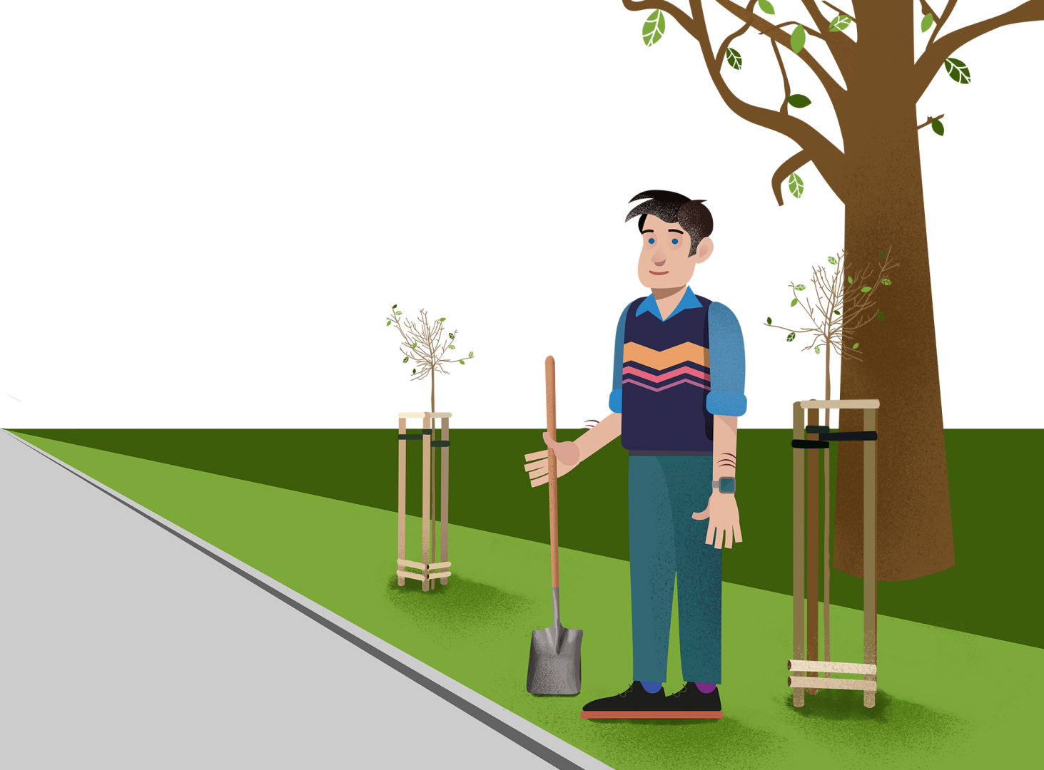 Pan Pomorski stoi na skwerze, trzyma w ręku łopatę, tuż za nim rośnie duże drzewo, po jego prawej i lewej stronie znajduje się świeżo posadzone drzewo.  