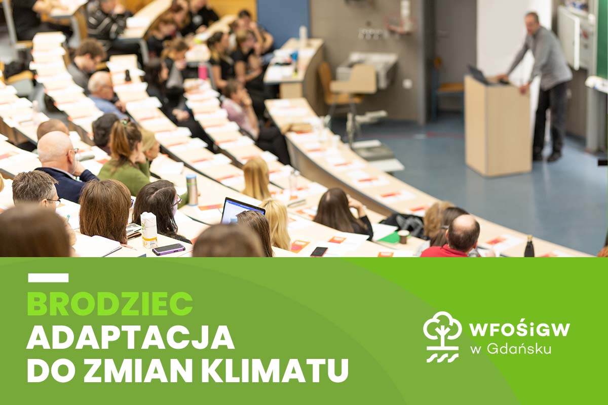 Plansza: Brodziec - adaptacja do zmian klimatu
