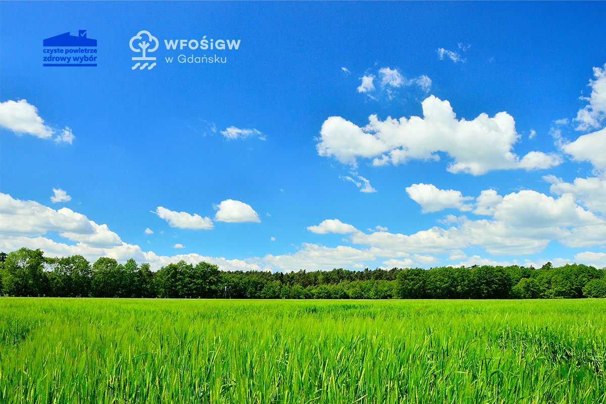 Wzrost zainteresowania programem Czyste Powietrze na Pomorzu!