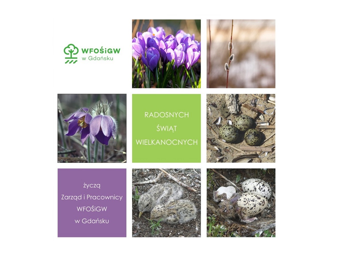 Radosnych Świąt Wielkanocnych!