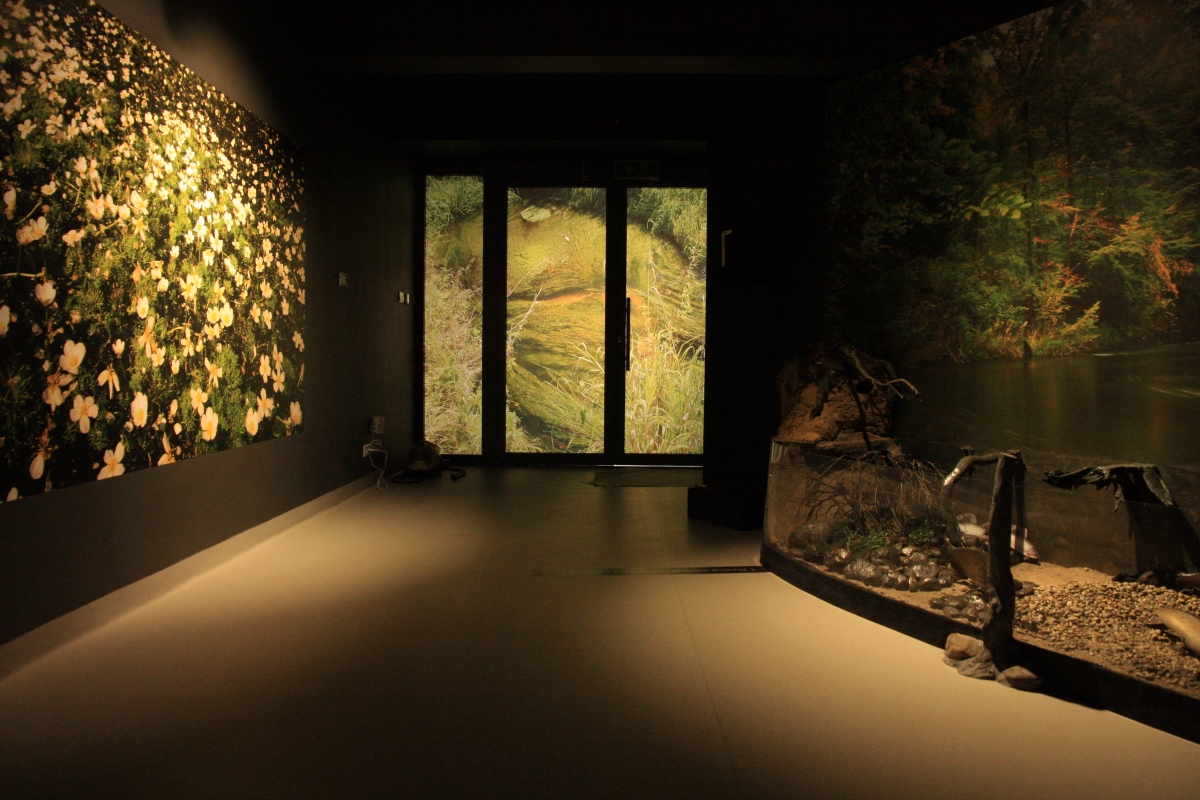 Sala wystawowa w Centrum Edukacji Ekologicznej 