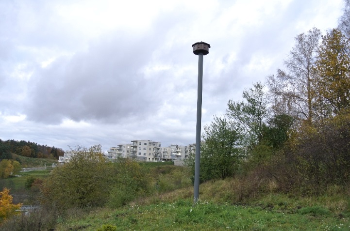 Wieża dla jerzyków w gdyńskiej dzielnicy Karwiny; na zdjęciu widać łąkę, na bardzo wysokim słupie zamontowana została budka dla jerzyków