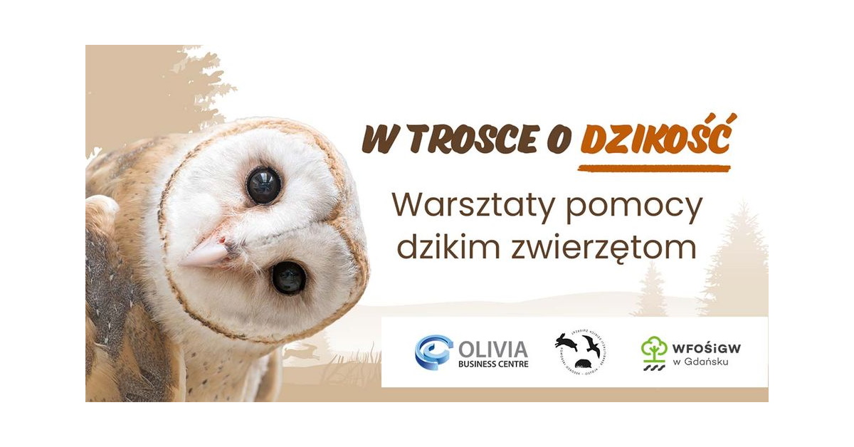 Plansza: W trosce o dzikość. Warsztaty pomocy dzikim zwierzętom