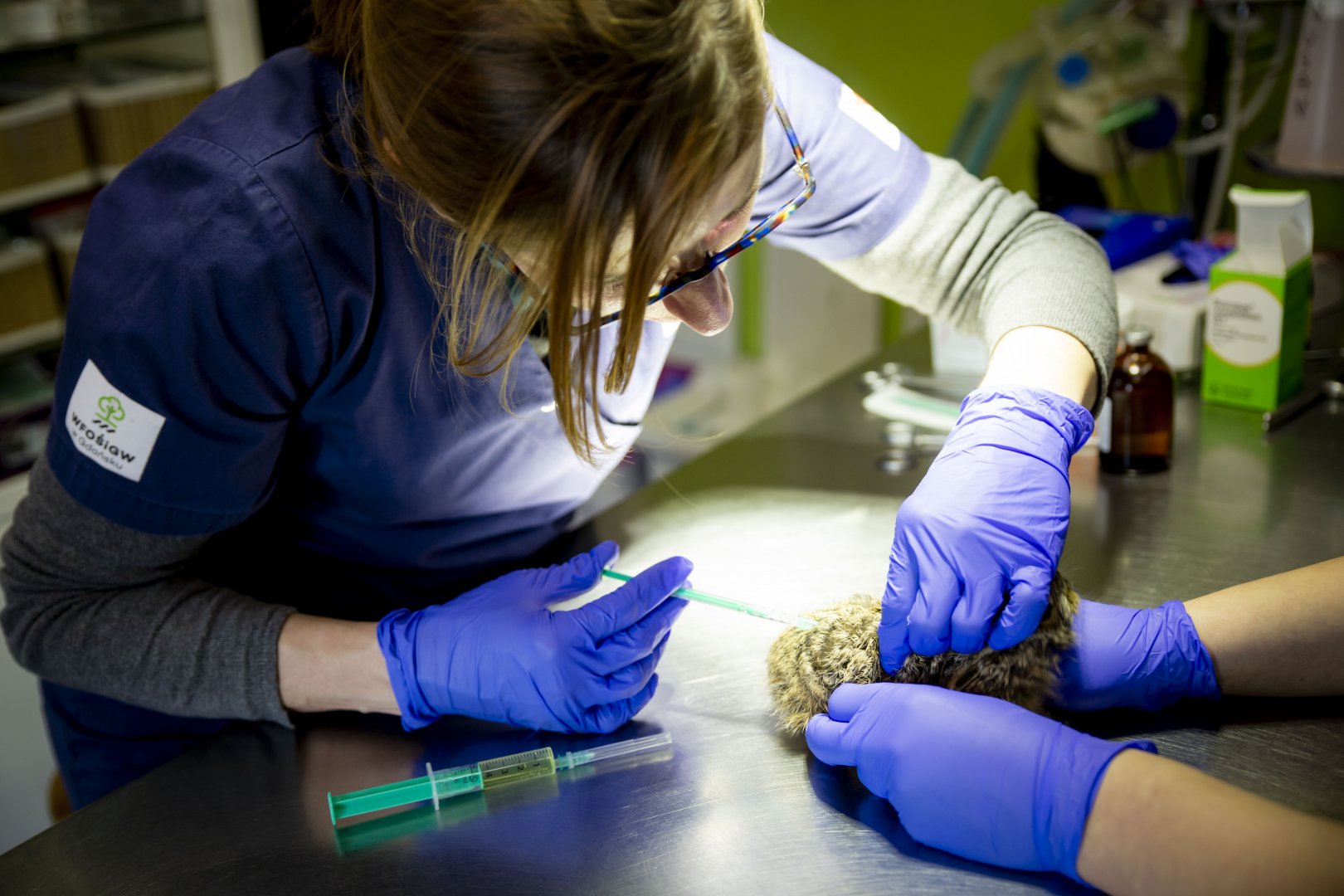 Pomorski Ośrodek Rehabilitacji Dzikich Zwierząt OSTOJA