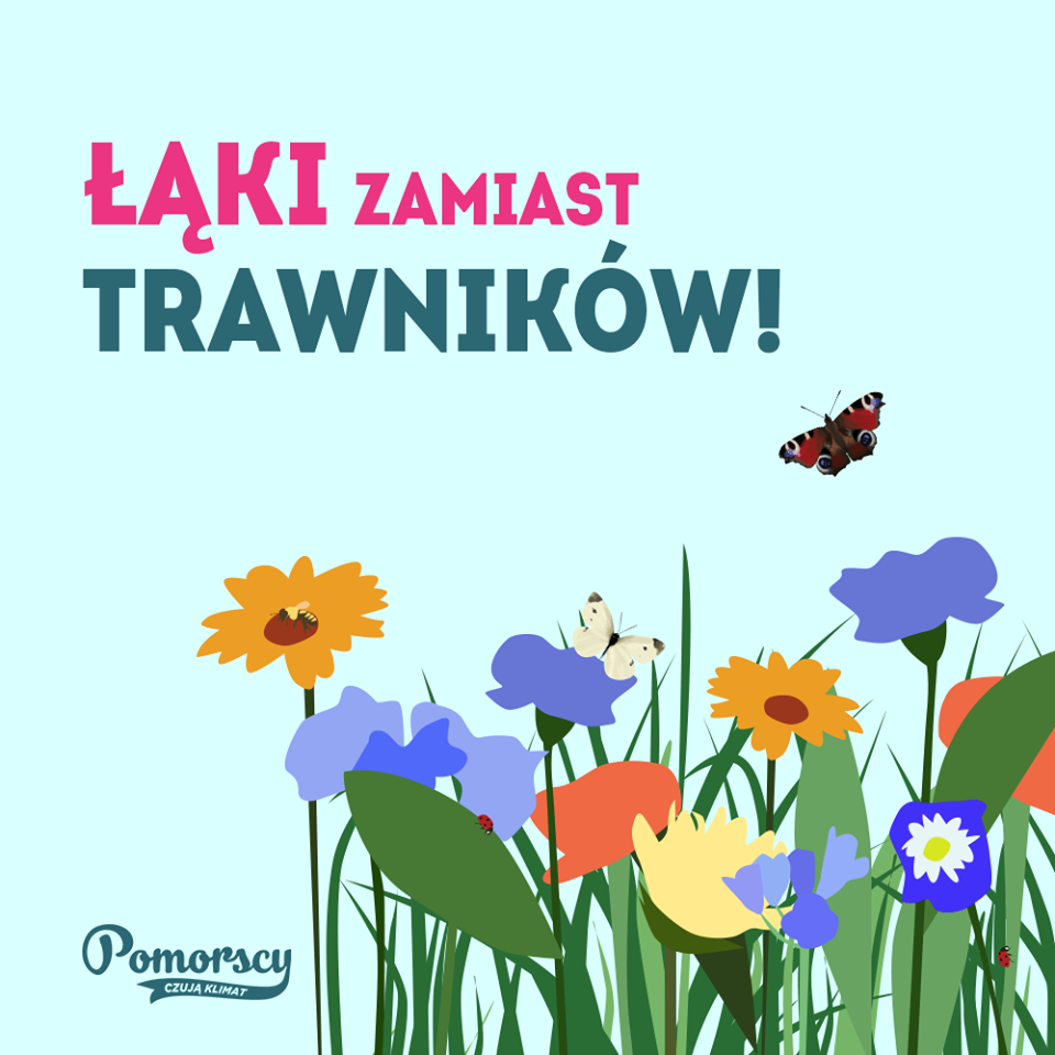 Łąki zamiast trawników