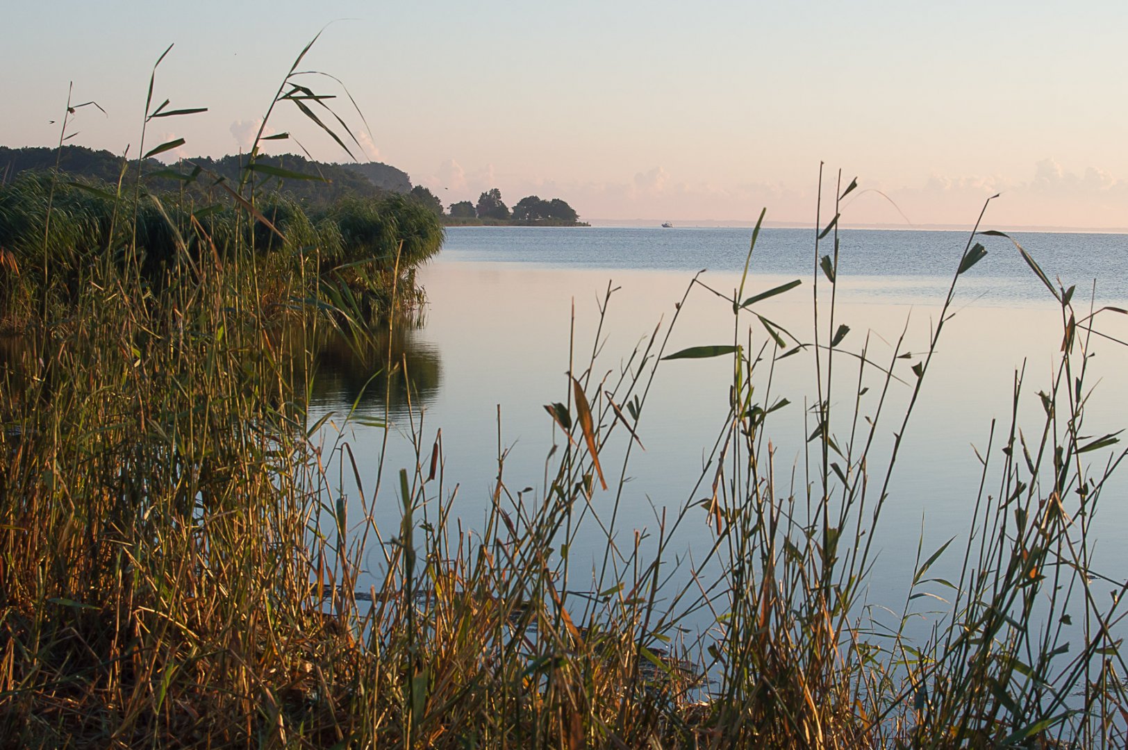 Rezerwat przyrody Beka zdj. Michał Barcz/archiwum WFOŚiGW w Gdańsku