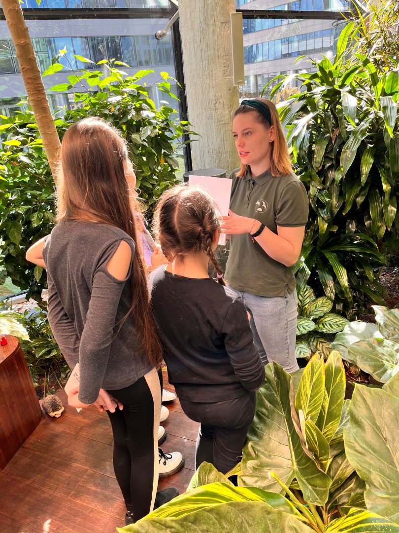 Warsztaty edukacyjne: Jak mądrze pomagać dzikim zwierzętom?