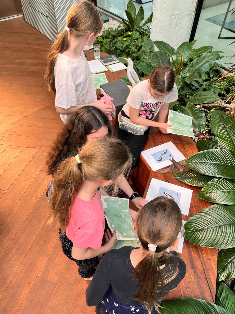 Warsztaty edukacyjne: Jak mądrze pomagać dzikim zwierzętom?