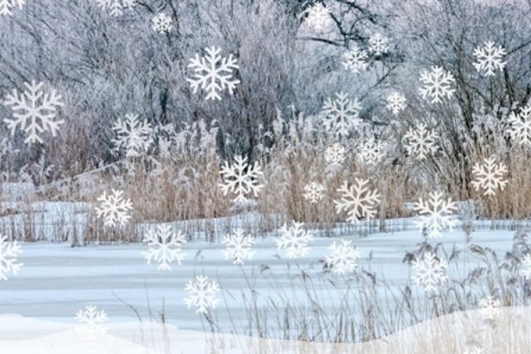 Pogodnych Świąt Bożego Narodzenia!