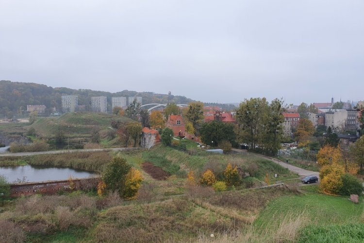 Na pierwszym planie nieużytki, dalej wysokie drzewa rosnące przy ulicy. Na drugim planie wysokie budynki mieszkalne i pagórek porośnięty lasem.