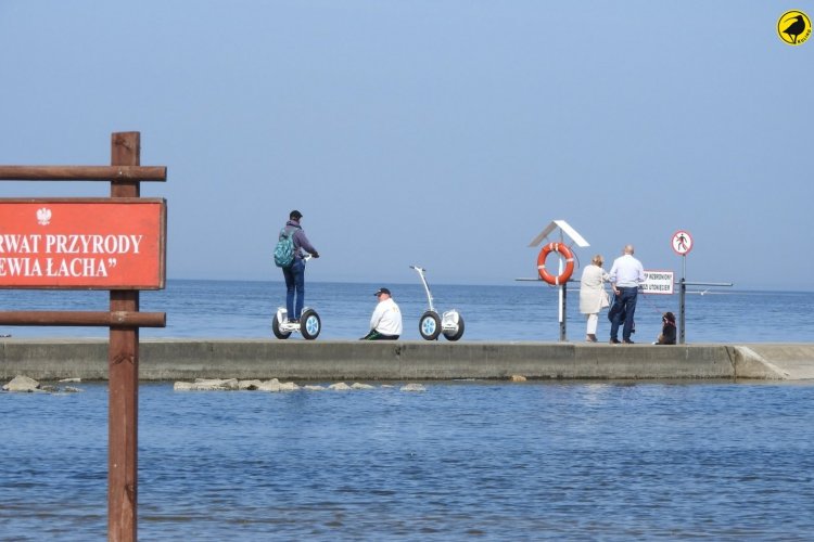 Mewia Łacha, kierownica wschodnia. Turyści zatrzymujący się przed ostatnim zakazem wstępu do rezerwatu