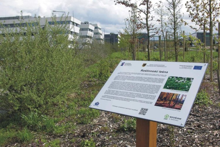 Widok ogólny na park z budynkiem Biologii UG w tle oraz tablica informacyjna na pierwszym planie