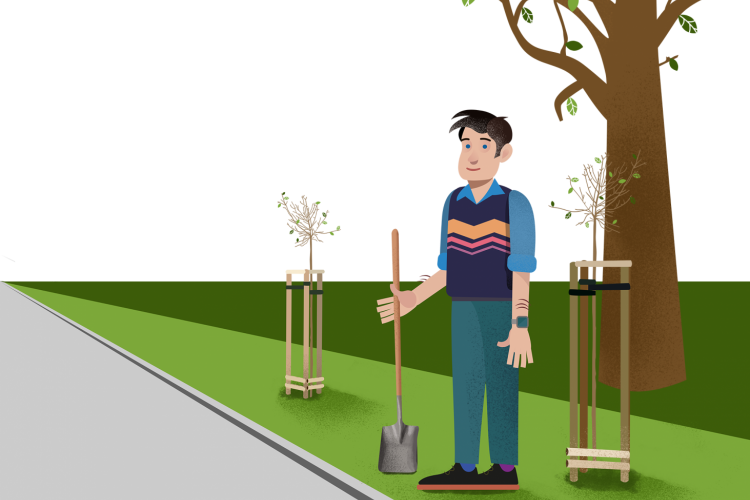 Pan Pomorski stoi na skwerze, trzyma w ręku łopatę, tuż za nim rośnie duże drzewo, po jego prawej i lewej stronie znajduje się świeżo posadzone drzewo.  