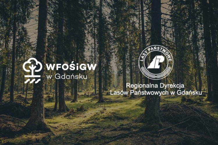 loga WFOŚ i RDLS na tle lasu