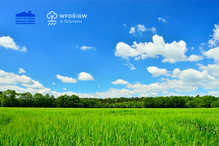 Wzrost zainteresowania programem Czyste Powietrze na Pomorzu!