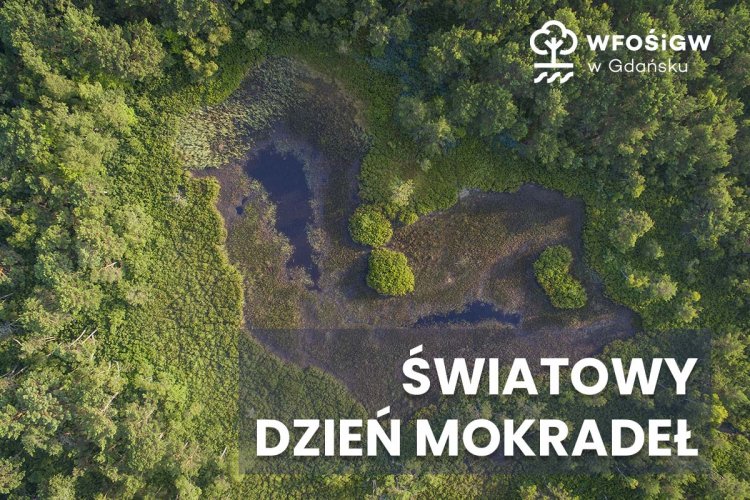 Światowy Dzień Mokradeł