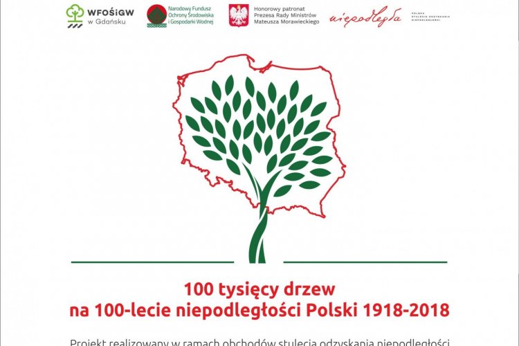 Grafika 100 tysięcy drzew na 100-lecie niepodległości Polski 1918-2018