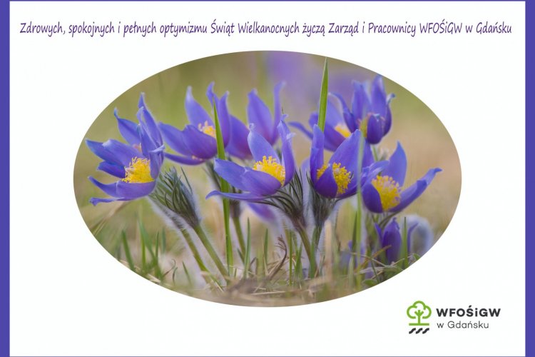 Spokojnych Świąt Wielkanocnych! 