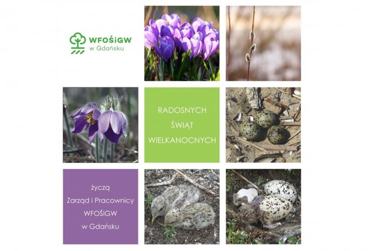 Radosnych Świąt Wielkanocnych!