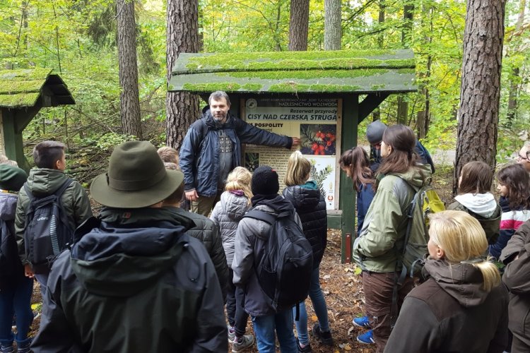 uczestnicy warsztatów w rezerwacie przyrody „Cisy nad Czerską Strugą” słuchają wykładu, dookoła las, obok  tablica edukacyjna 