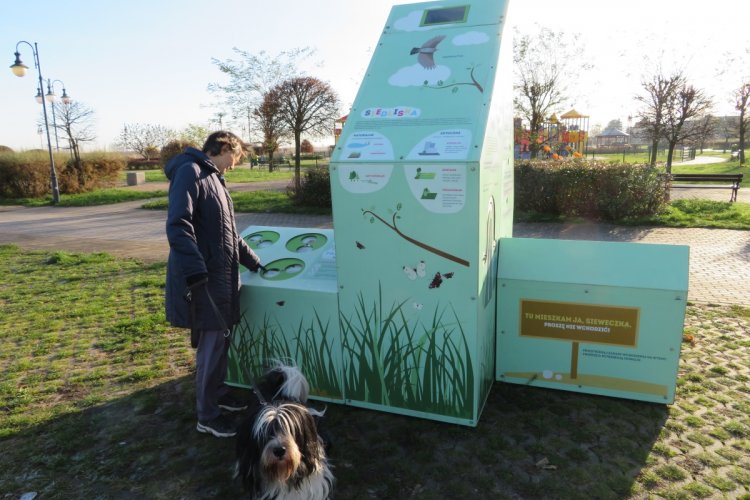 Jedna z brył tworzących interaktywną wystawę plenerową, obok stoi kobieta z psem.