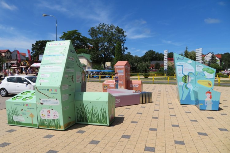 Interaktywna wystawa plenerowa, składająca się z trzech brył, na placu w Krynicy Morskiej. Lato 2019.