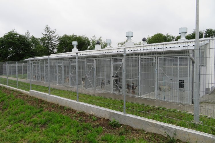 Nowa siedziba schroniska dla zwierząt w Słupsku, na zdjęciu widać psy zamknięte w boksach 