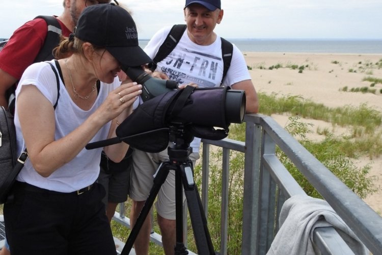 Na zdjęciu platforma obserwacyjna, na niej stoją trzy osoby, jedna z nich obserwuje rezerwat przyrody Mewia Łacha przez lunetę