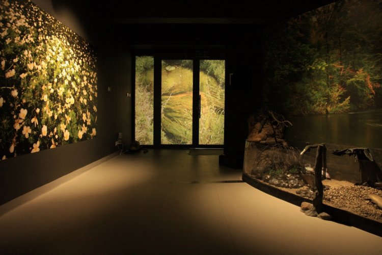 Sala wystawowa w Centrum Edukacji Ekologicznej 