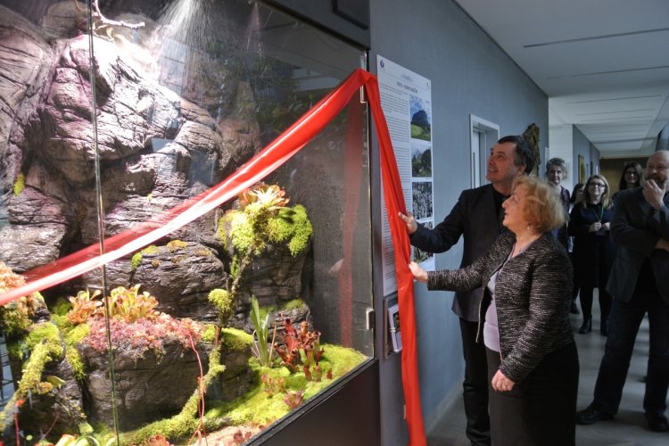 Dziekan Wydziału Biologii UG prof. Włodzimierz Meissner oraz zastępca prezesa WFOŚiGW w Gdańsku Teresa Jakubowska otworzyli paludarium na Wydziale Biologii Uniwersytetu Gdańskiego; na zdjęciu szklany zbiornik z roślinami mięsożernymi, obok  zastępca prezesa WFOŚiGW w Gdańsku Teresa Jakubowska, dziekan Wydziału Biologii prof. Włodzimierz Meissner przy ścianie paludarium czerwona wstęga