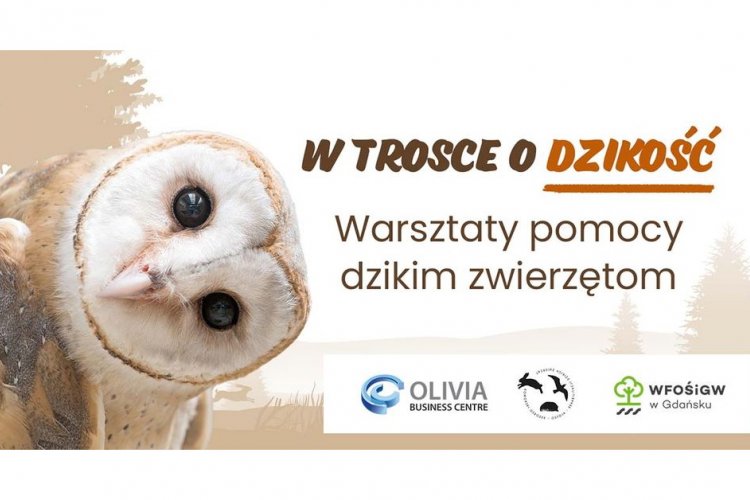 Plansza: W trosce o dzikość. Warsztaty pomocy dzikim zwierzętom