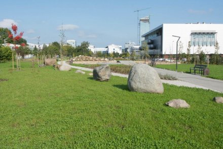 Widok na edupark z budynkiem biblioteki UG w tle